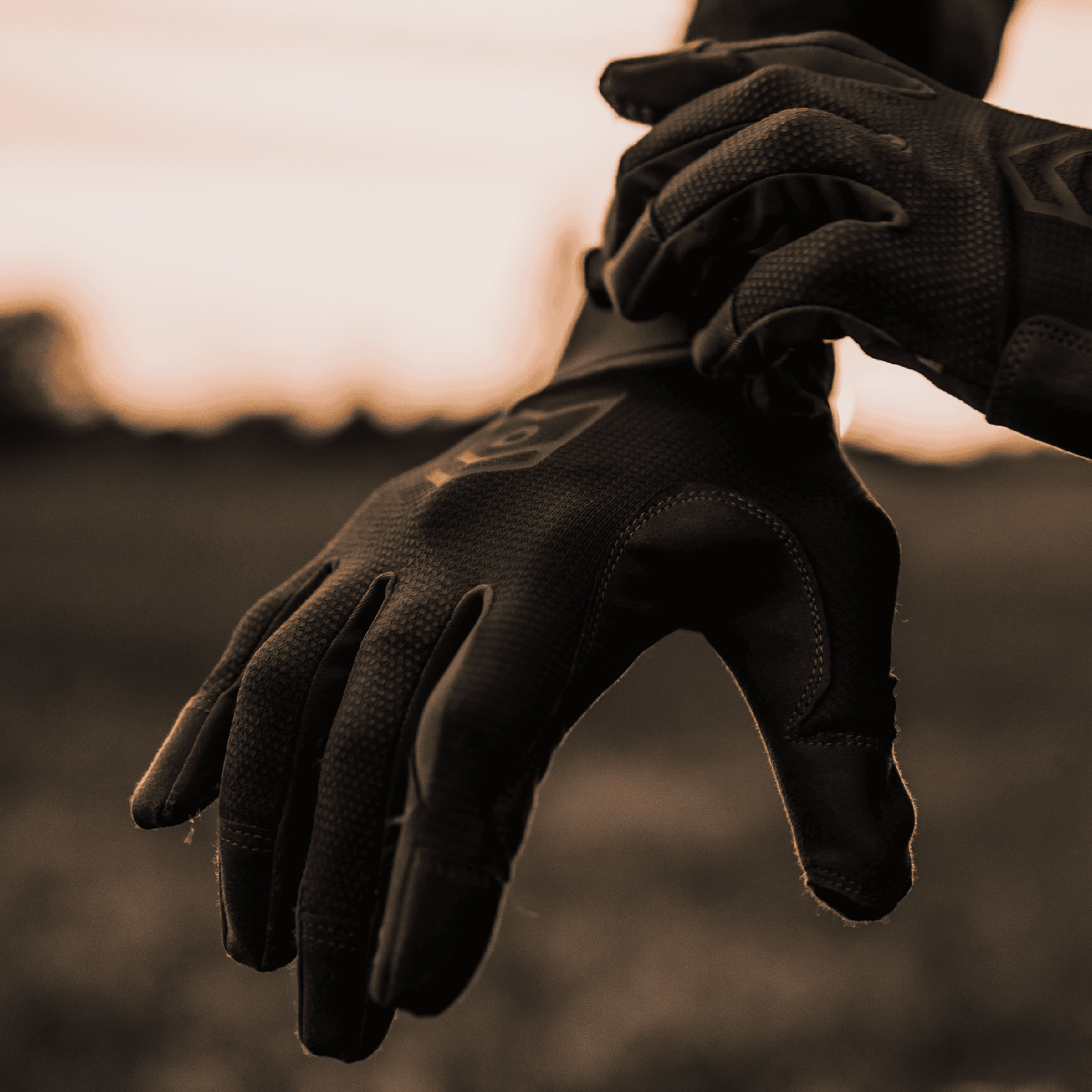 CE standard for gloves